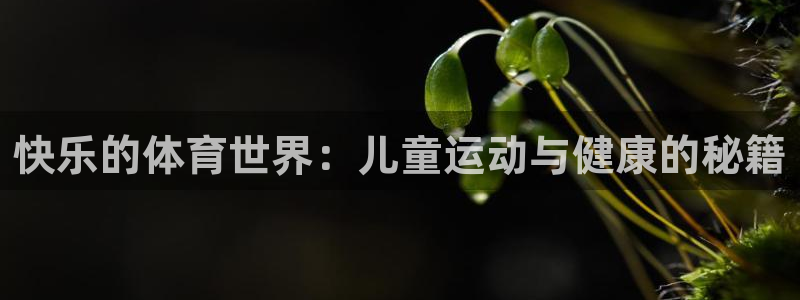 杏悦体育游戏