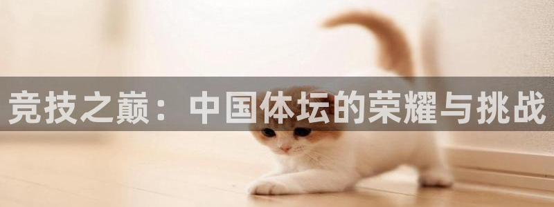 杏悦体育注册代理