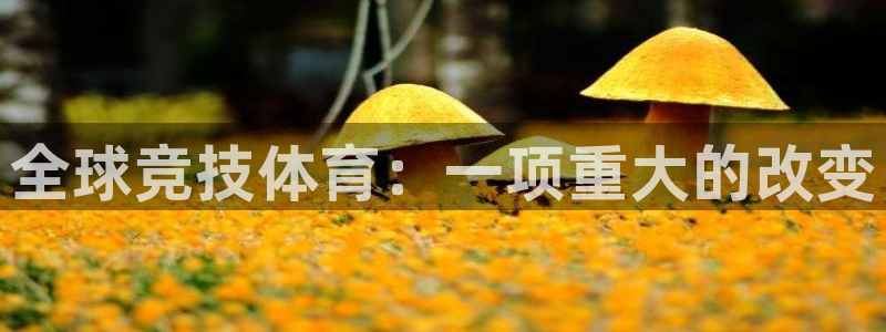 佛山市南海杏悦机电仪器有限公司