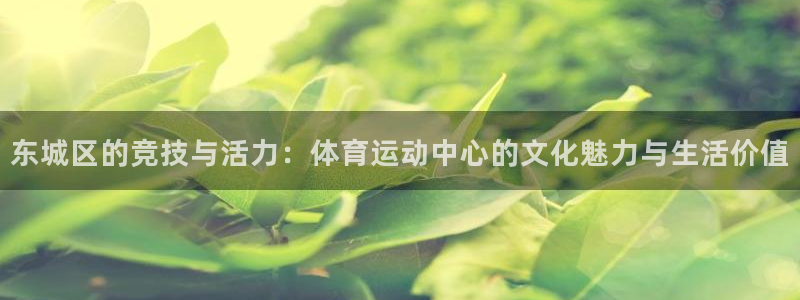 杏悦主管