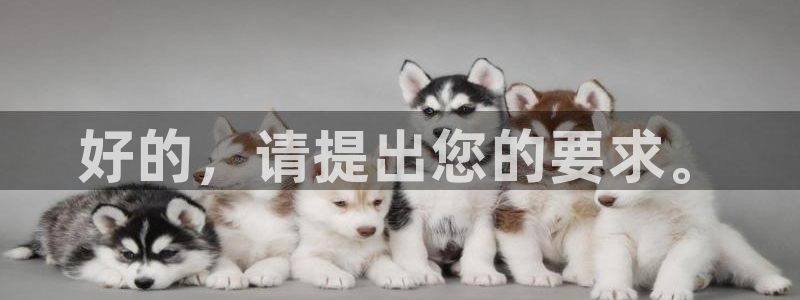 杏悦4官网