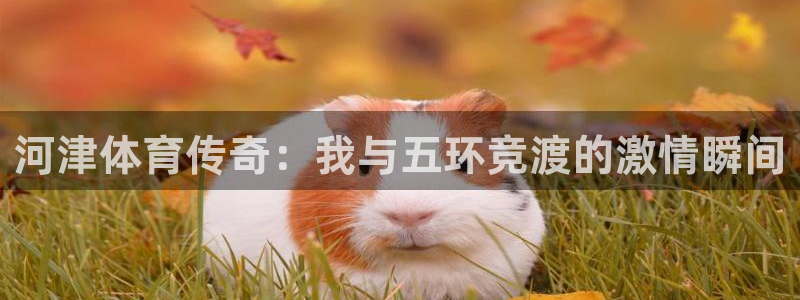 德国杏悦集团