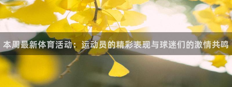 杏悦体育平台登录入口