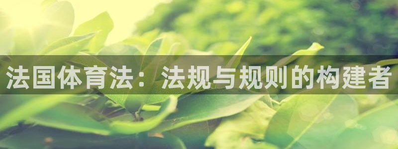 杏悦凯捷开号链接