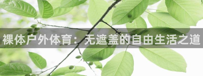 杏悦体育用品