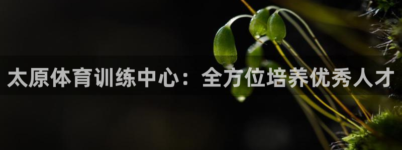 杏悦集团股票