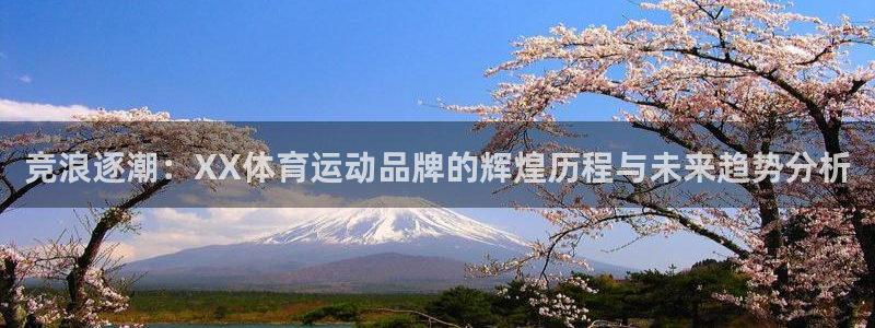 杏悦集团官网