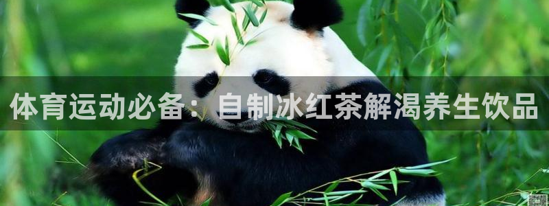 杏悦包怎么样
