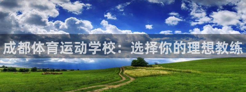 杏悦股份